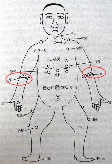 手臂 有痣|痣的位置与命运：手臂上有痣代表什么寓意